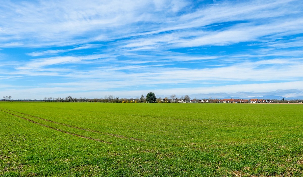 资本主义新农村莱茵平原米粮川德