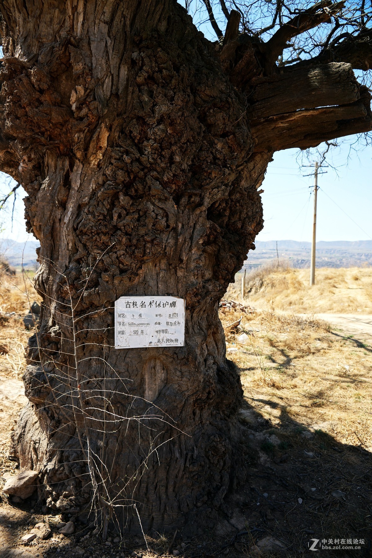 宜川县壶口镇高柏村