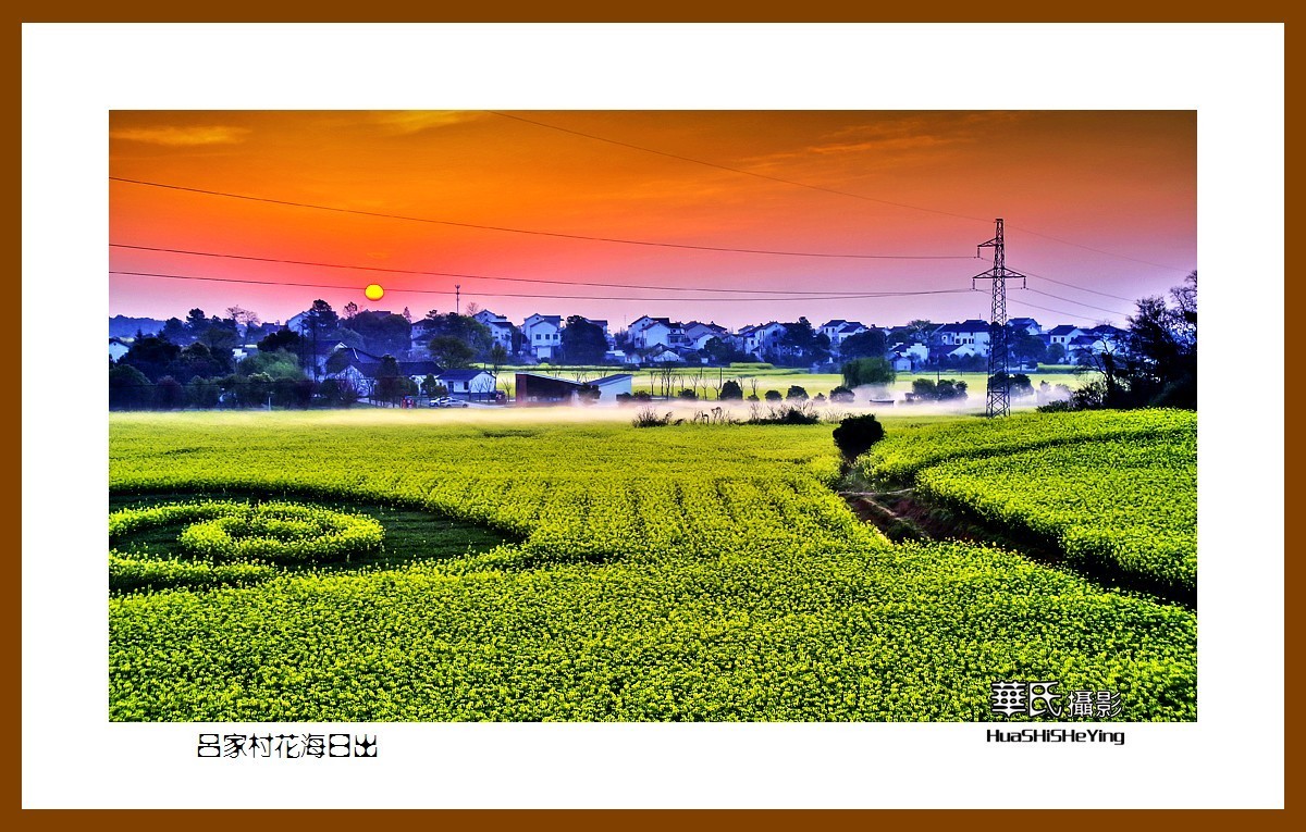 慢游慢城——吕家村花海日出（江苏省南京市高淳区桠溪镇）