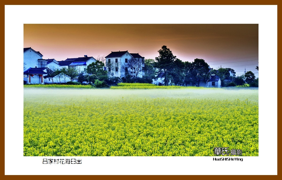 慢游慢城——吕家村花海日出（江苏省南京市高淳区桠溪镇）