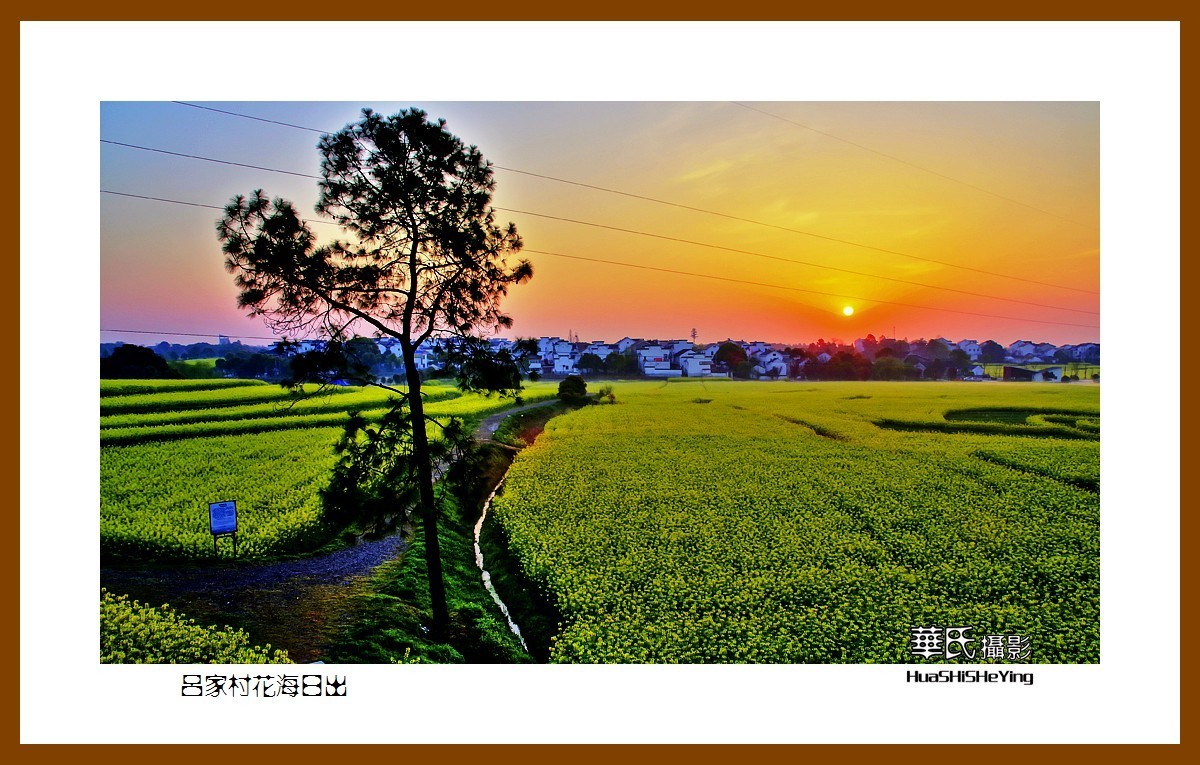 慢游慢城——吕家村花海日出（江苏省南京市高淳区桠溪镇）
