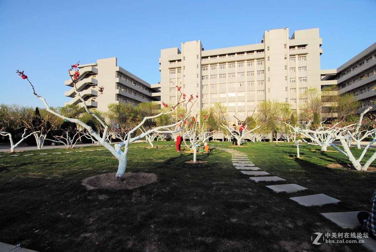 南开大学春花一组