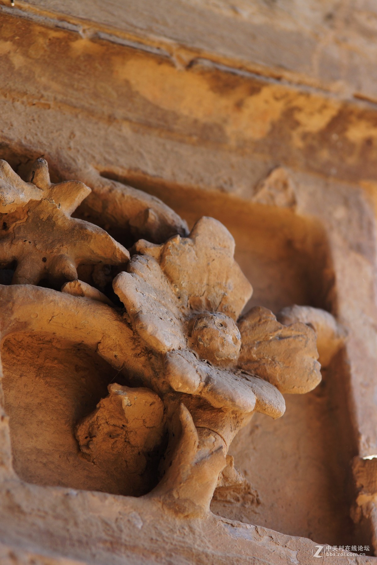 宜川县壶口镇高柏村