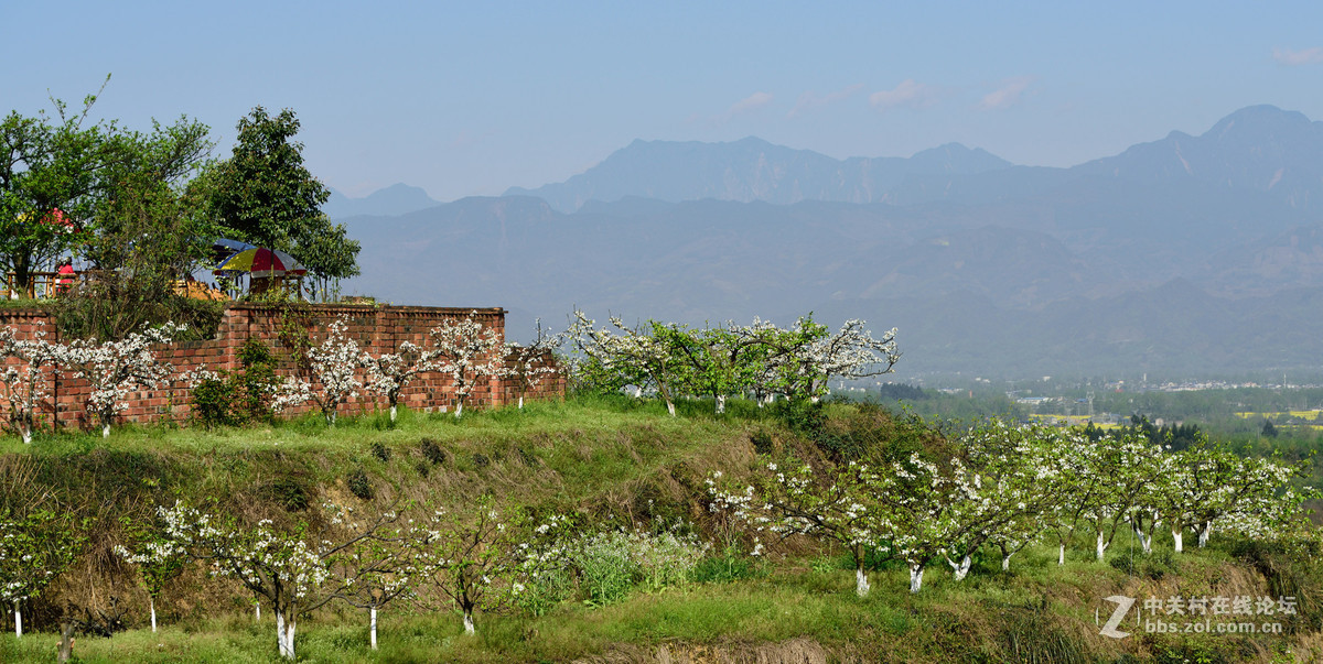 崇州花果山无根山