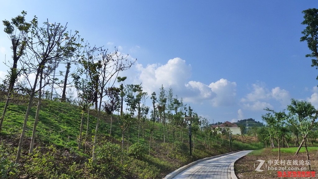 欧耶  美丽滨江