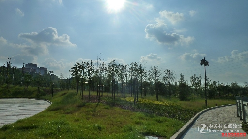 欧耶  美丽滨江