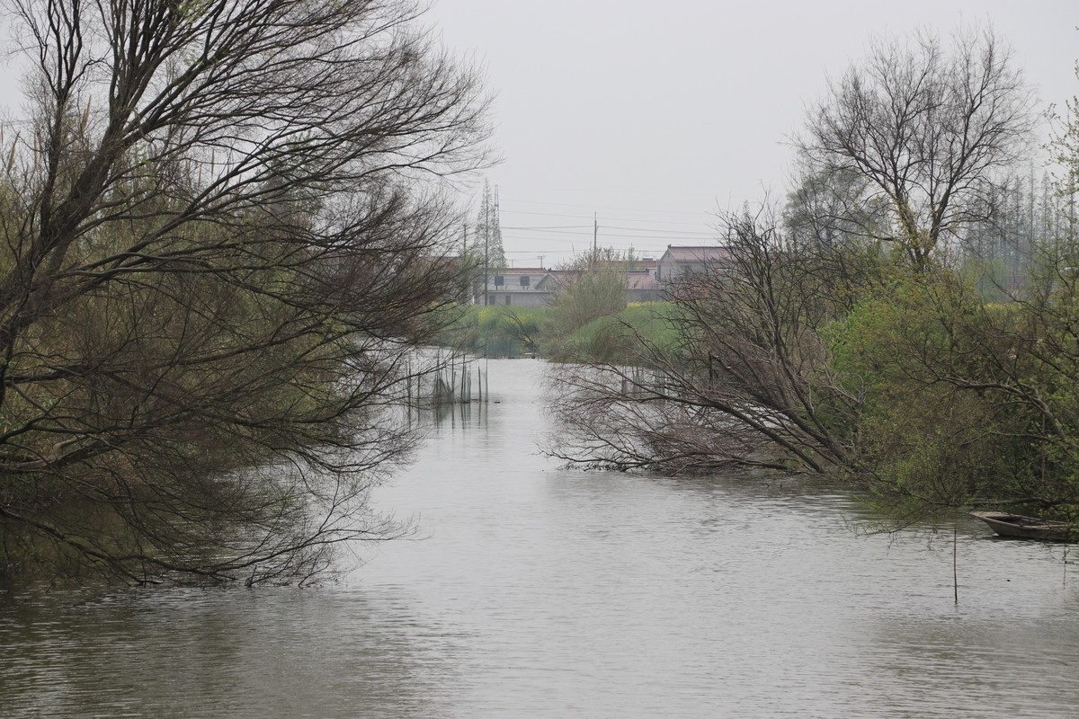 冷艳全欺雪，余香乍入衣，春风且莫定，吹向玉阶飞。