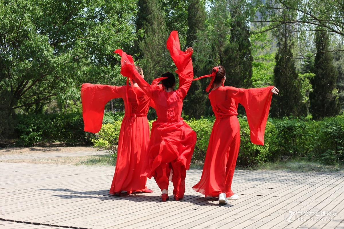 彩蝶飞舞随拍沈阳公园老年人