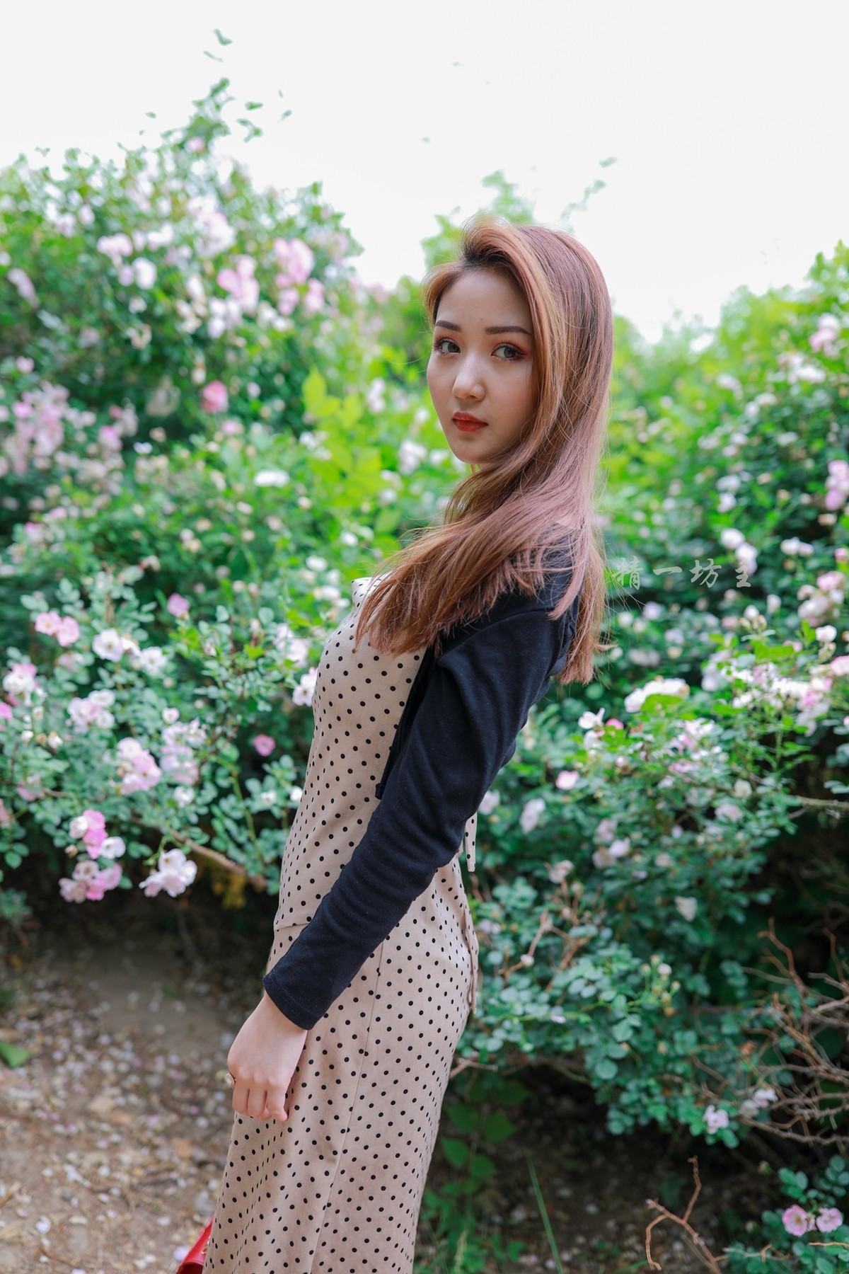 #夏天在哪里# 夏日奥森 （1补发）