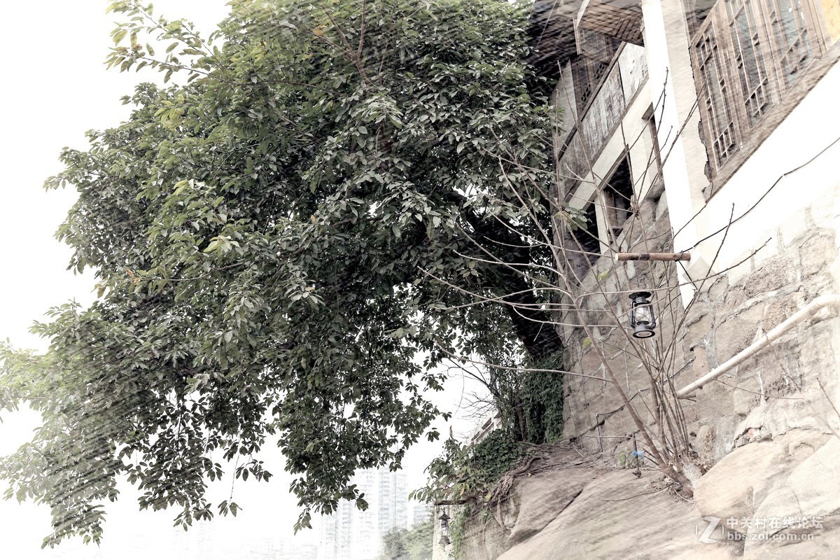 终将逝去的老重庆！