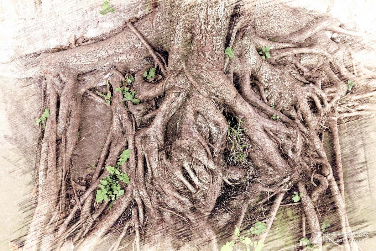 终将逝去的老重庆！