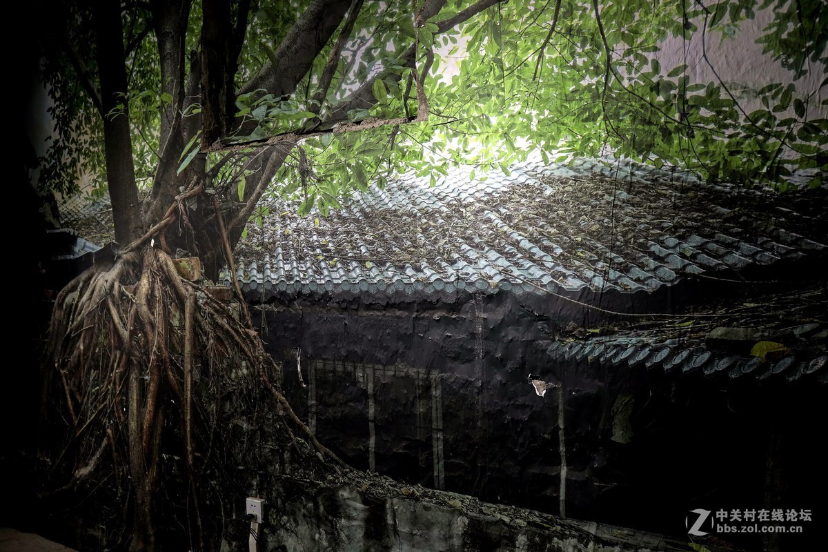 终将逝去的老重庆！