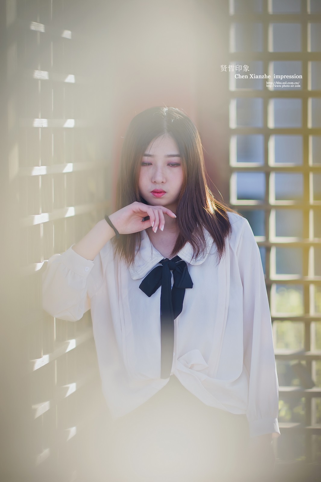 ---【 春 日 网 聚 群 拍 习 作 】---