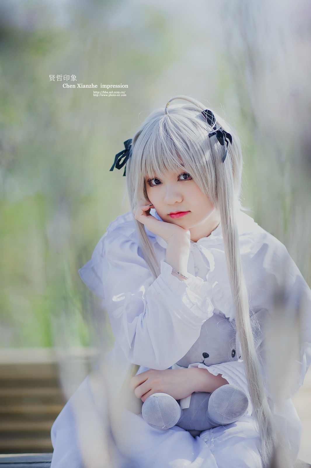 ---【 春 日 网 聚 群 拍 习 作 】---