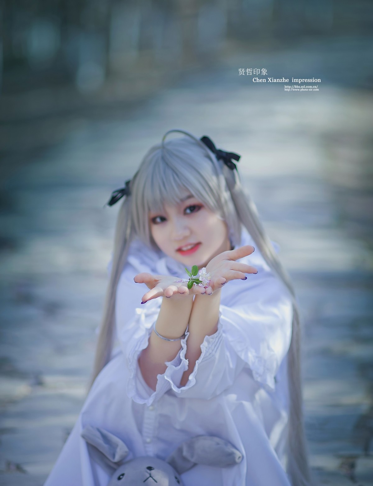 ---【 春 日 网 聚 群 拍 习 作 】---