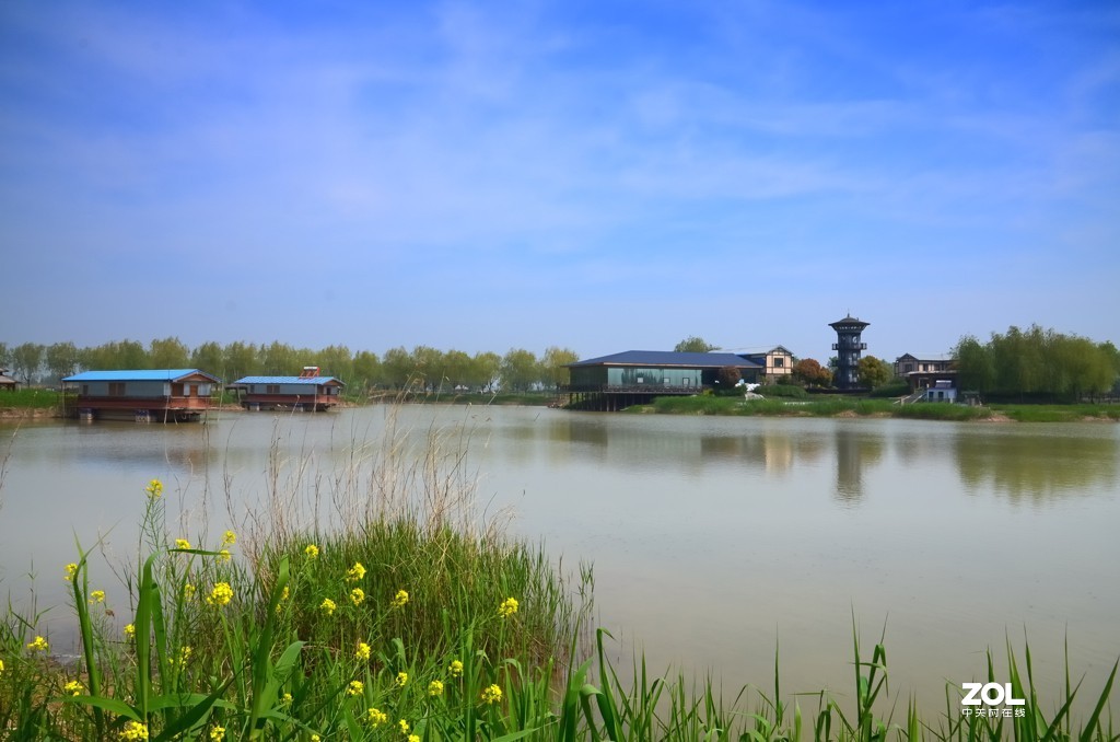 江苏高邮湖芦苇荡湿地公园纪实