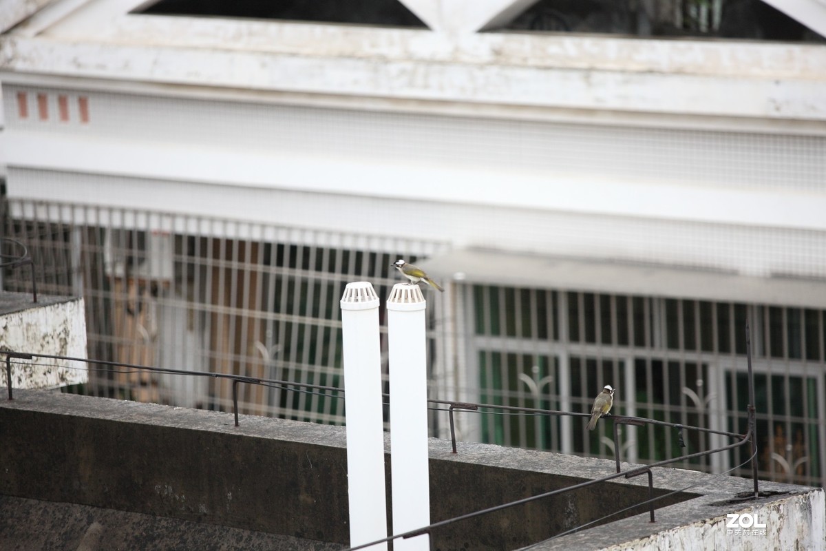 佳能 EF 70-200/4L IS II USM试镜贴。