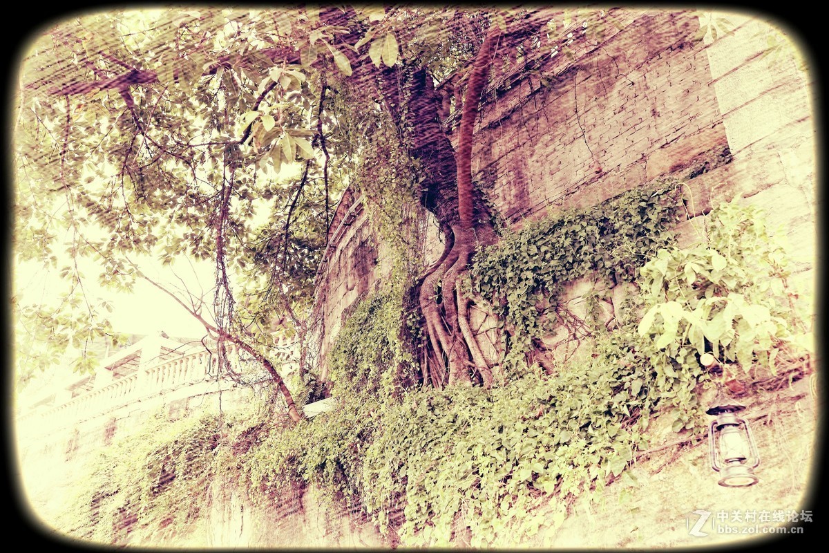 终将逝去的老重庆！