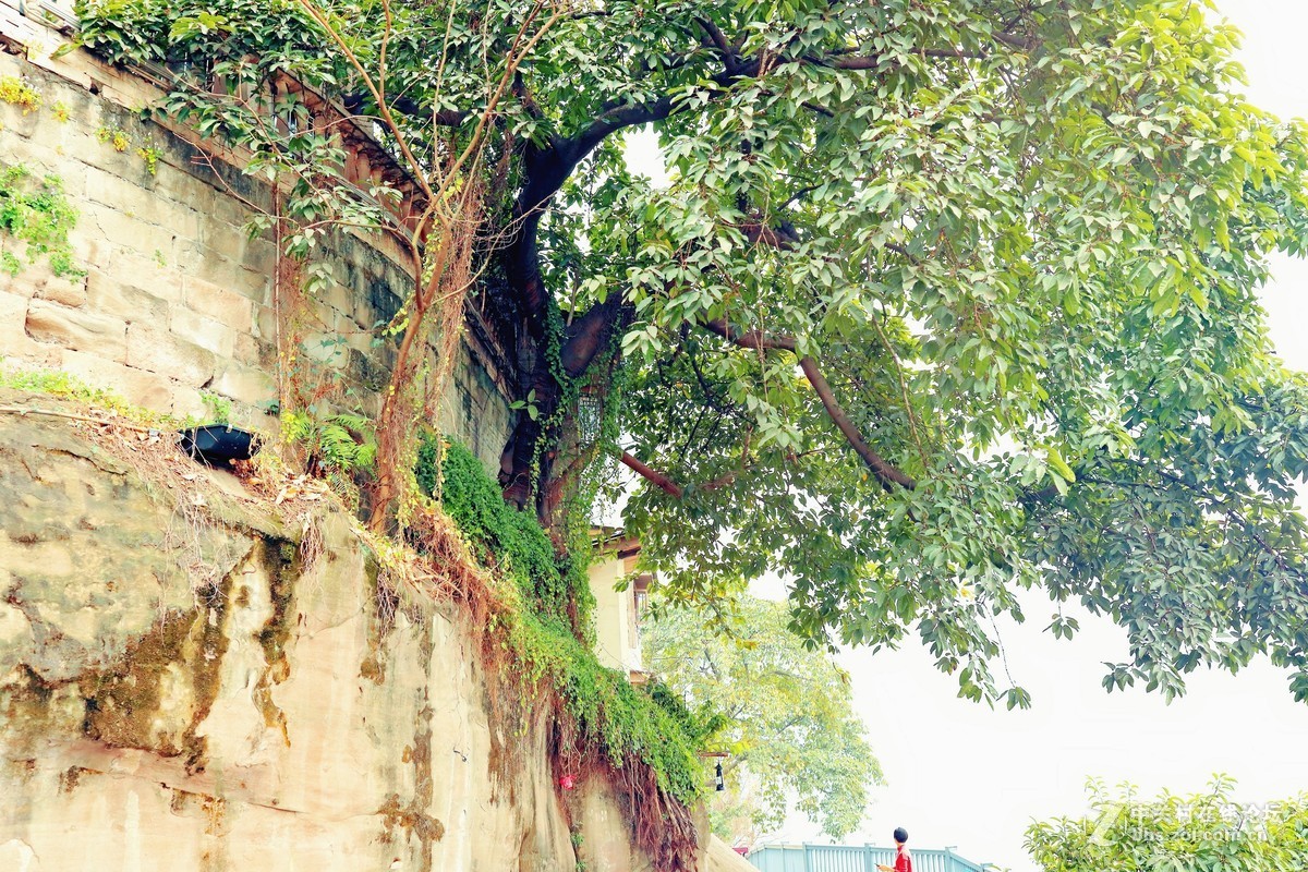 终将逝去的老重庆！