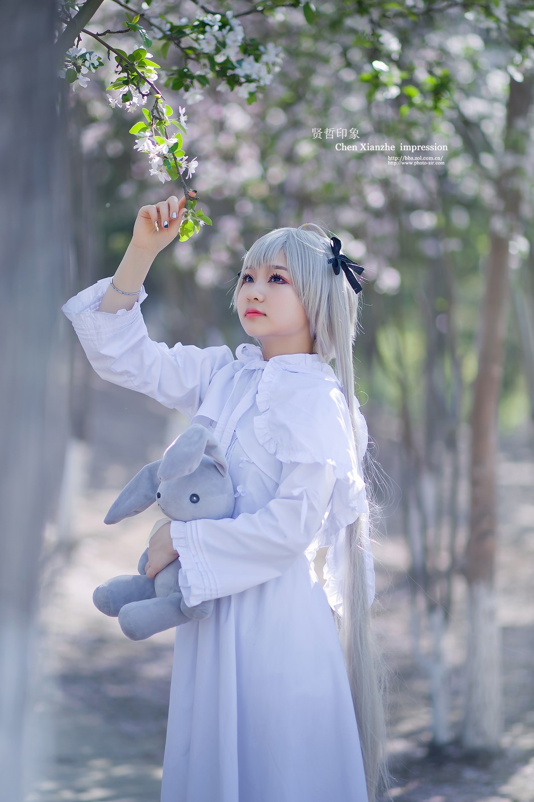 ---【 春 日 网 聚 群 拍 习 作 】---