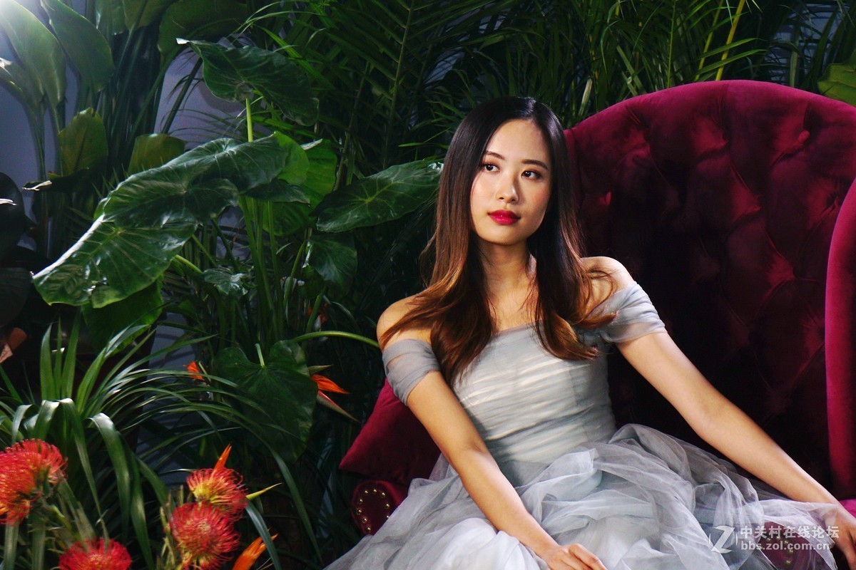 【2019北京国际摄影器材博览会】随记