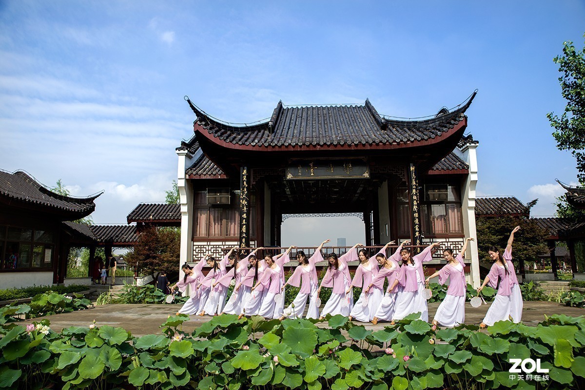 #留下一份夏天的纪念#  荷塘魅影