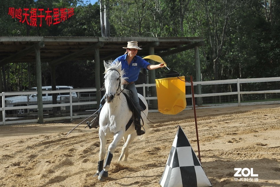澳洲布里斯班摄影游记   周鸣天