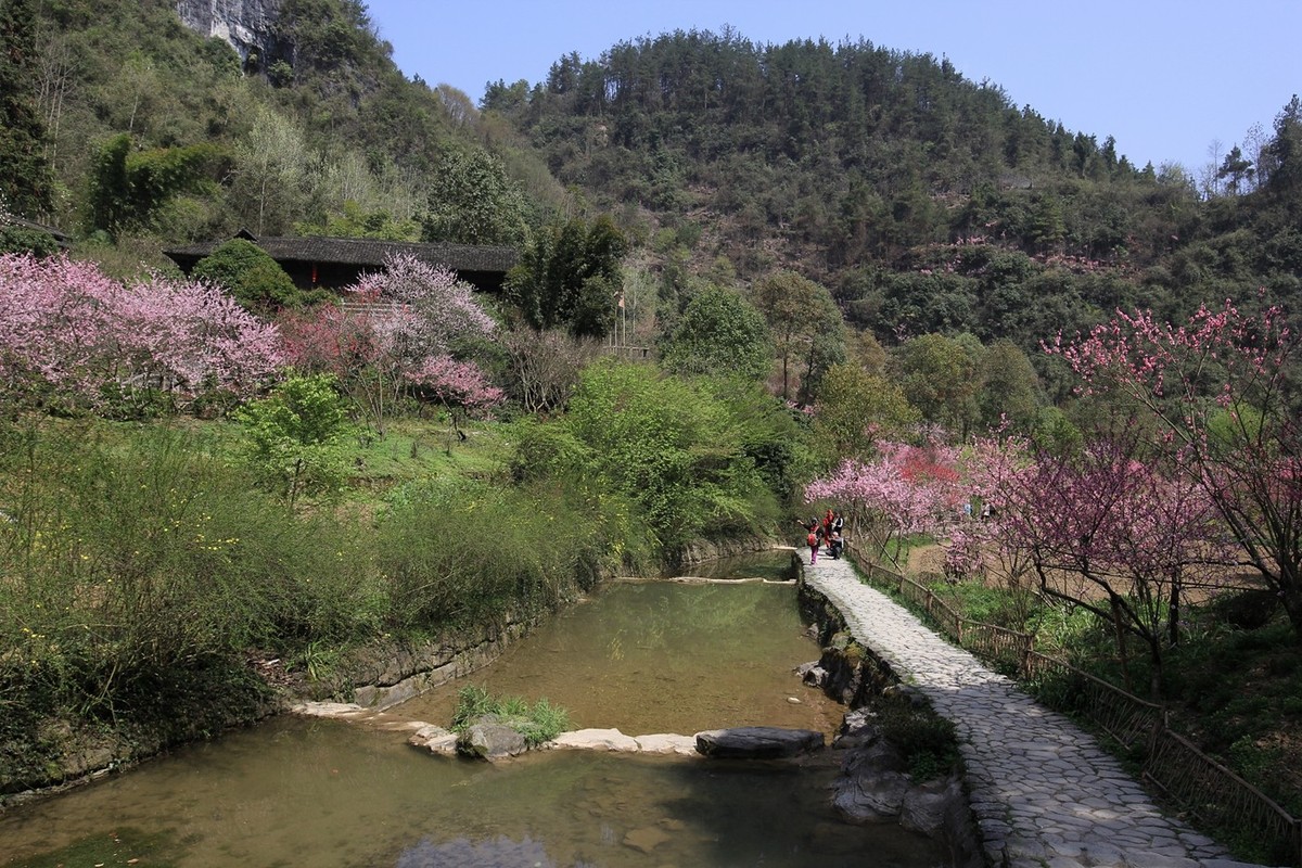 酉阳.桃花源游拍