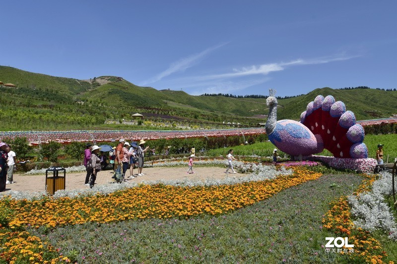 为尼康10-24mm镜头增加点人气