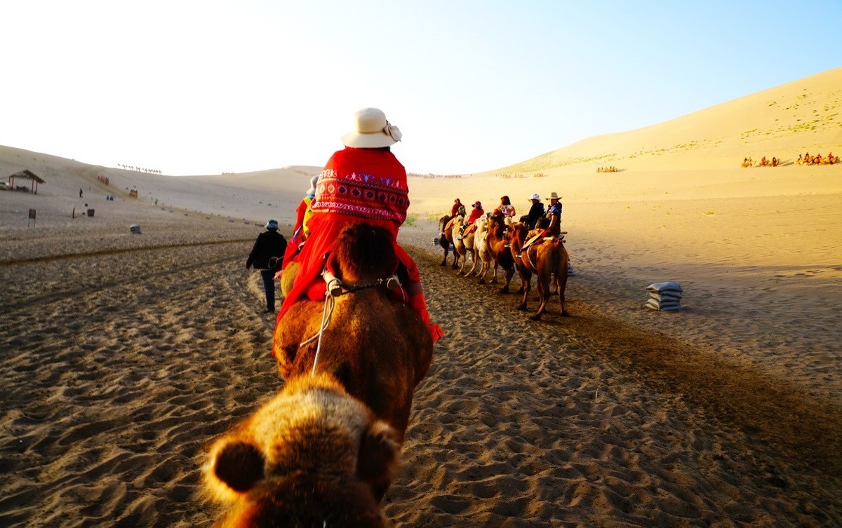 鸣沙山大漠驼影拾萃