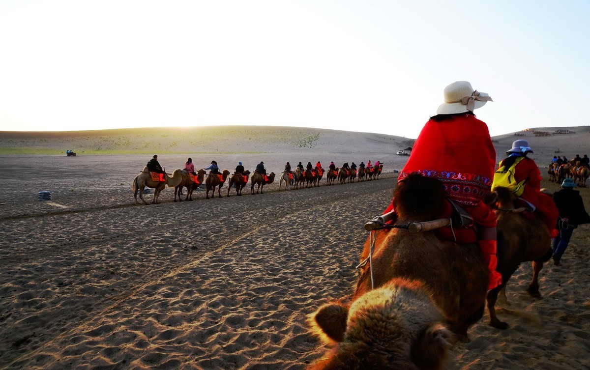 鸣沙山大漠驼影拾萃
