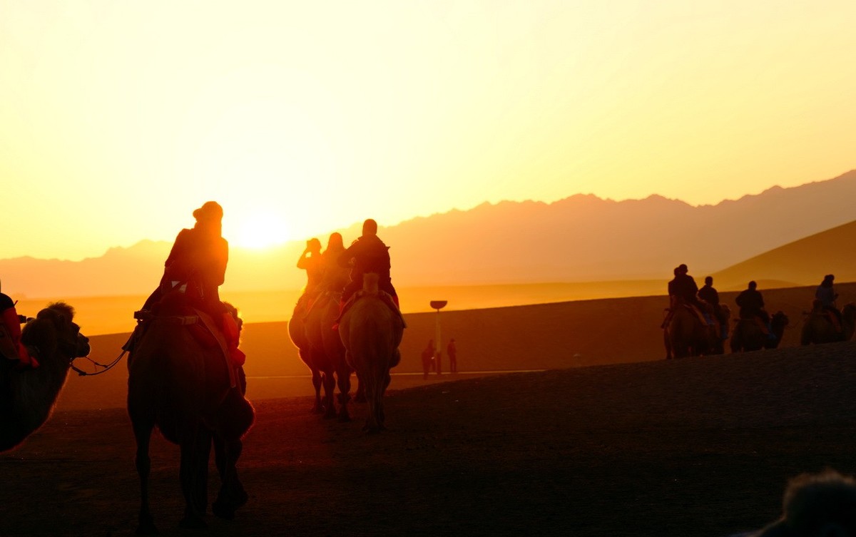 鸣沙山大漠驼影拾萃