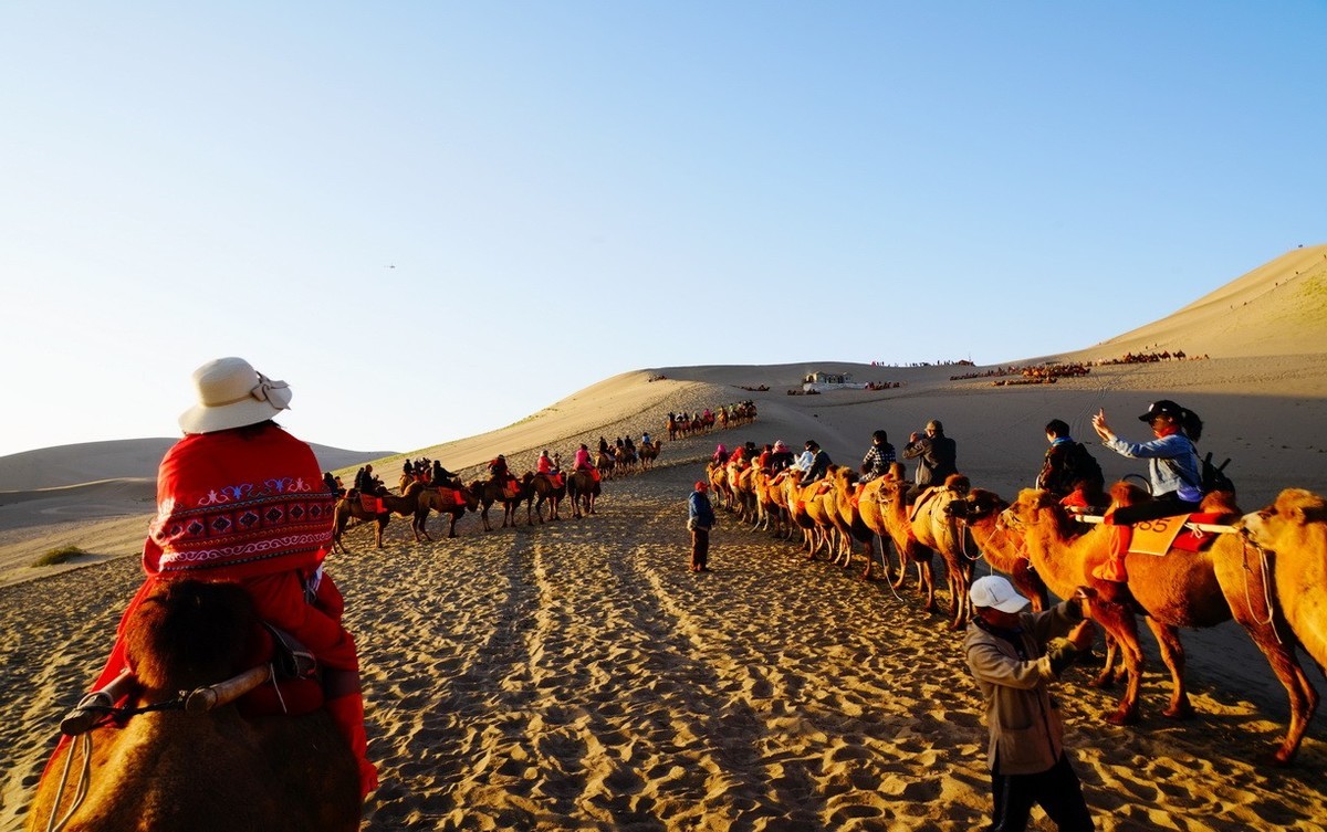 鸣沙山大漠驼影拾萃