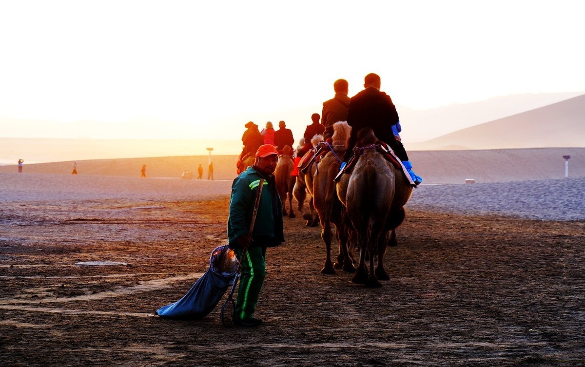 鸣沙山大漠驼影拾萃