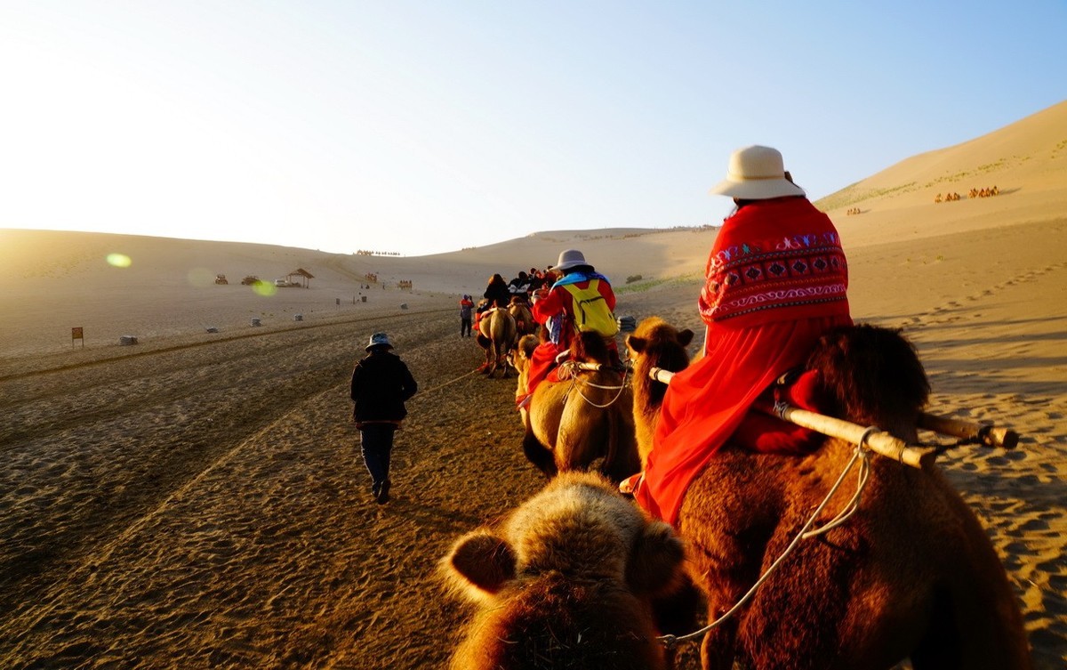 鸣沙山大漠驼影拾萃