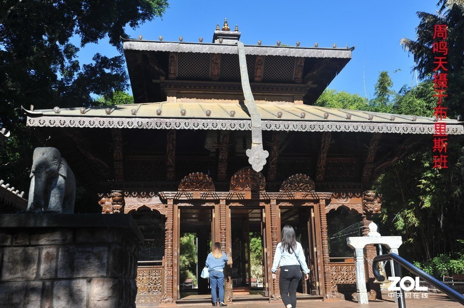 澳洲布里斯班摄影游记   周鸣天