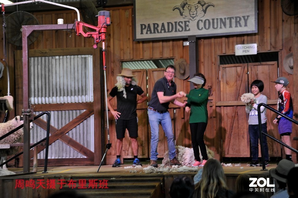 澳洲布里斯班摄影游记   周鸣天