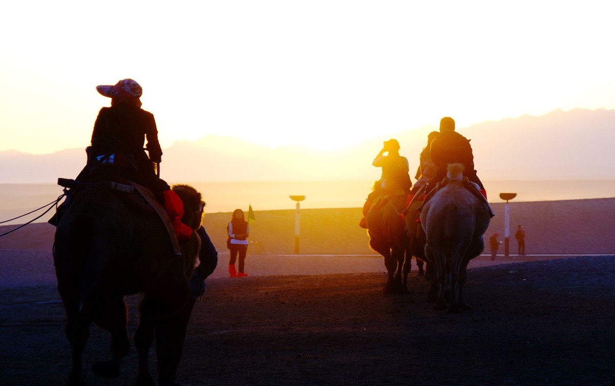 鸣沙山大漠驼影拾萃