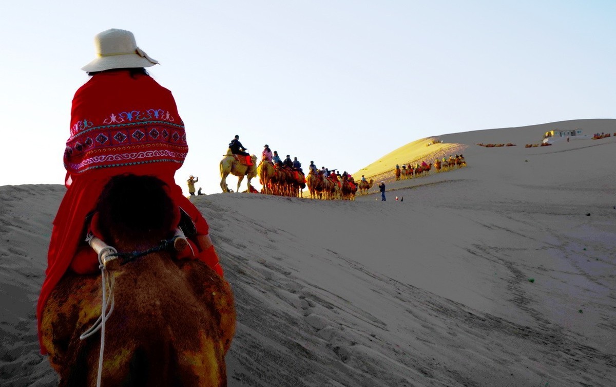 鸣沙山大漠驼影拾萃