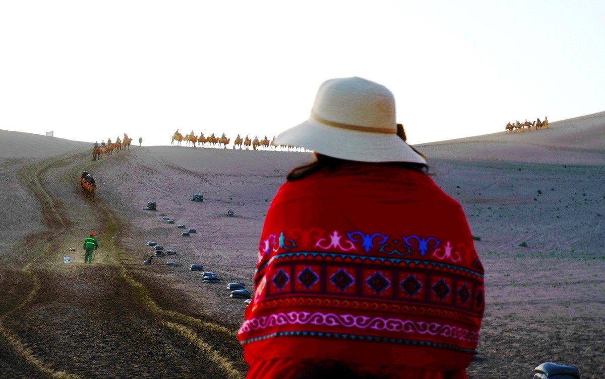 鸣沙山大漠驼影拾萃