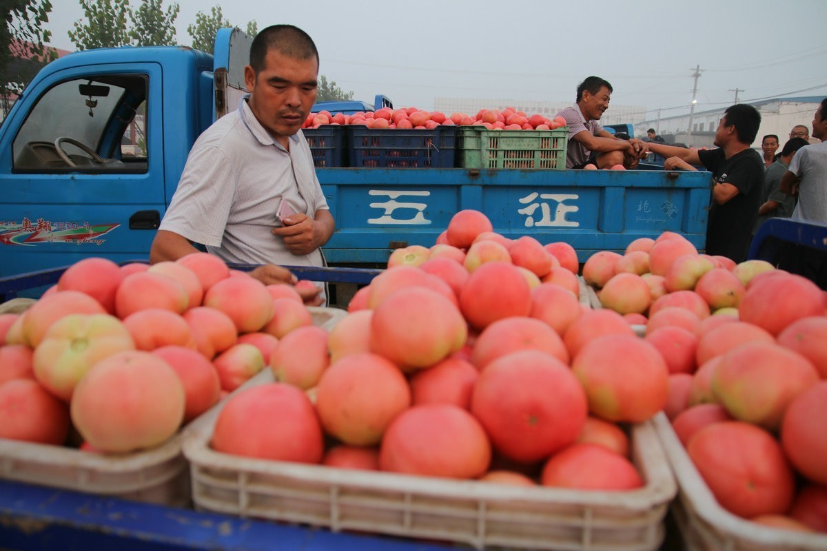 瓜菜交易市场纪实