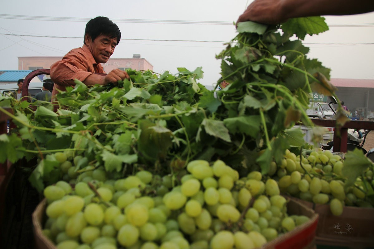 瓜菜交易市场纪实