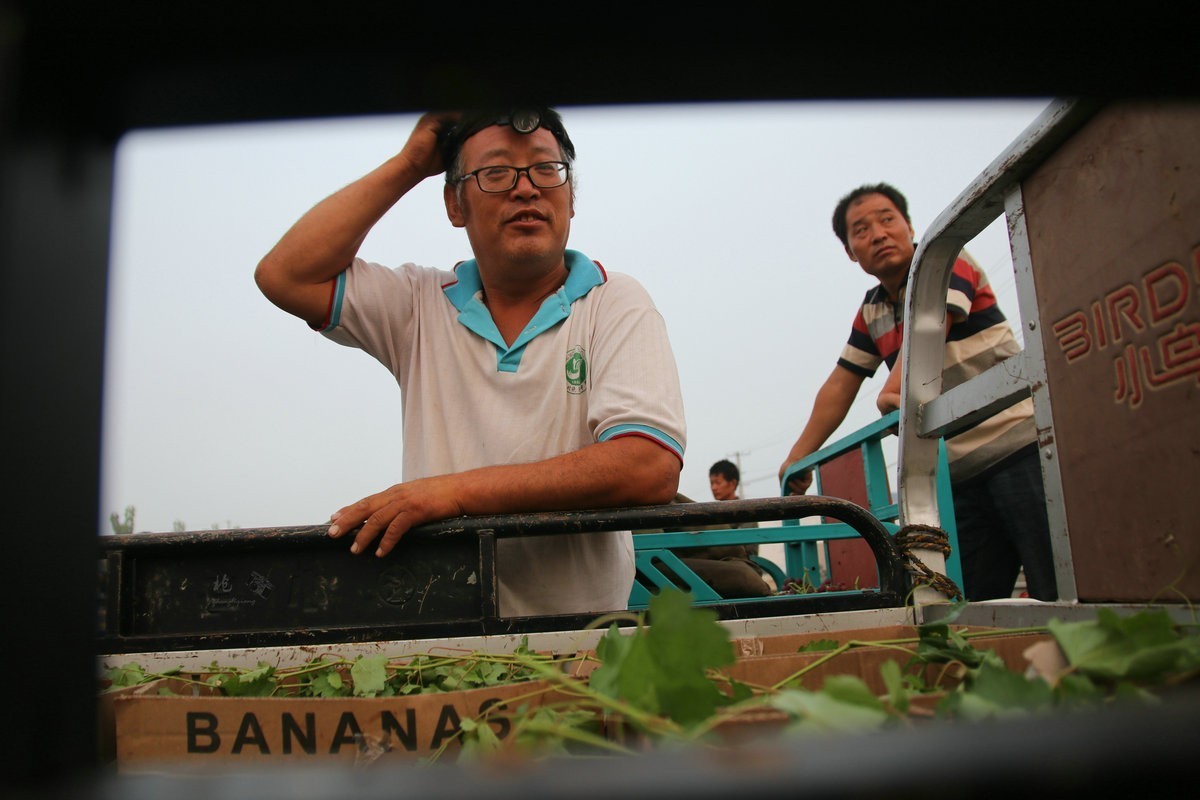 瓜菜交易市场纪实