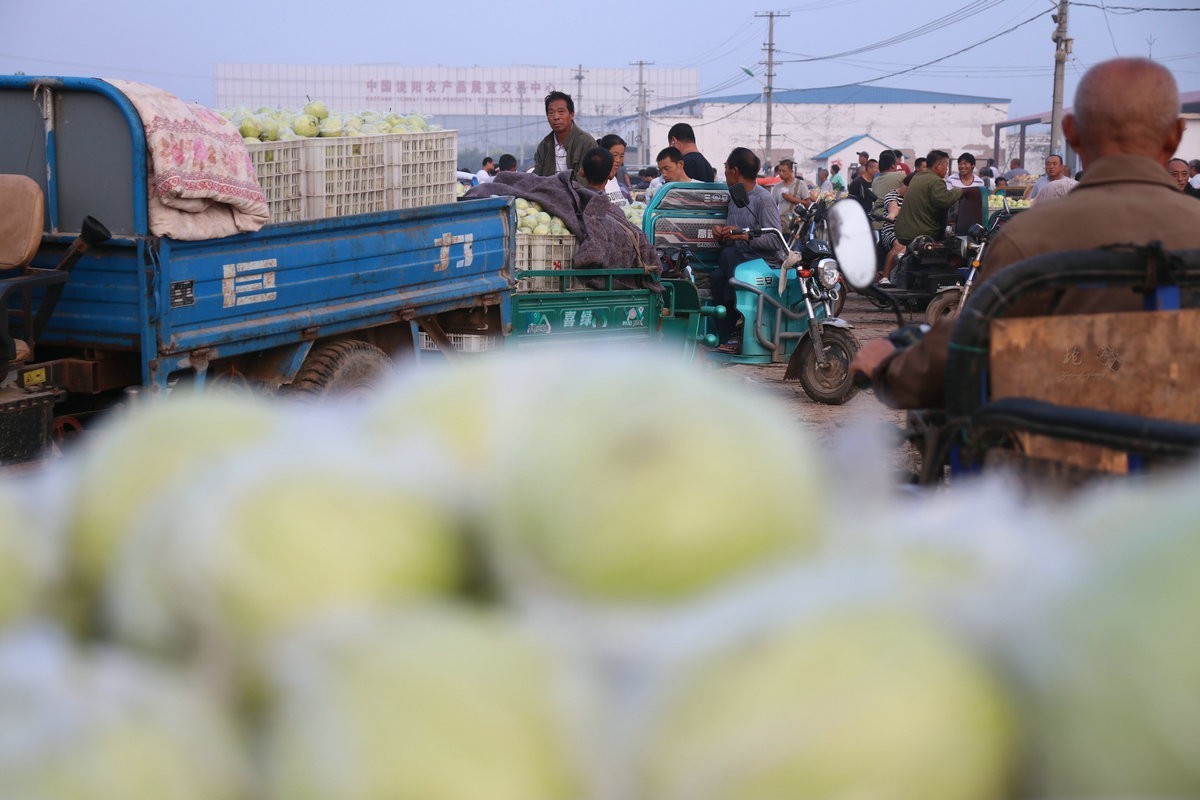 瓜菜交易市场纪实