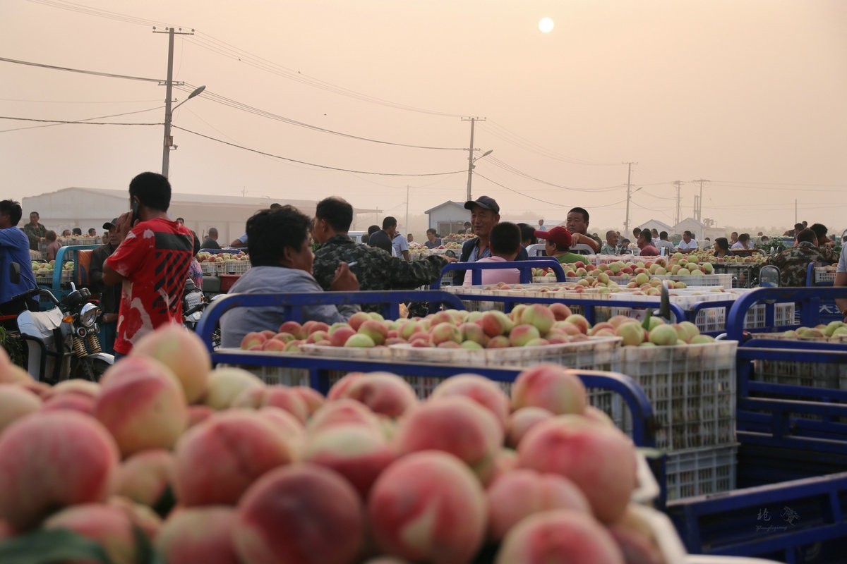 瓜菜交易市场纪实