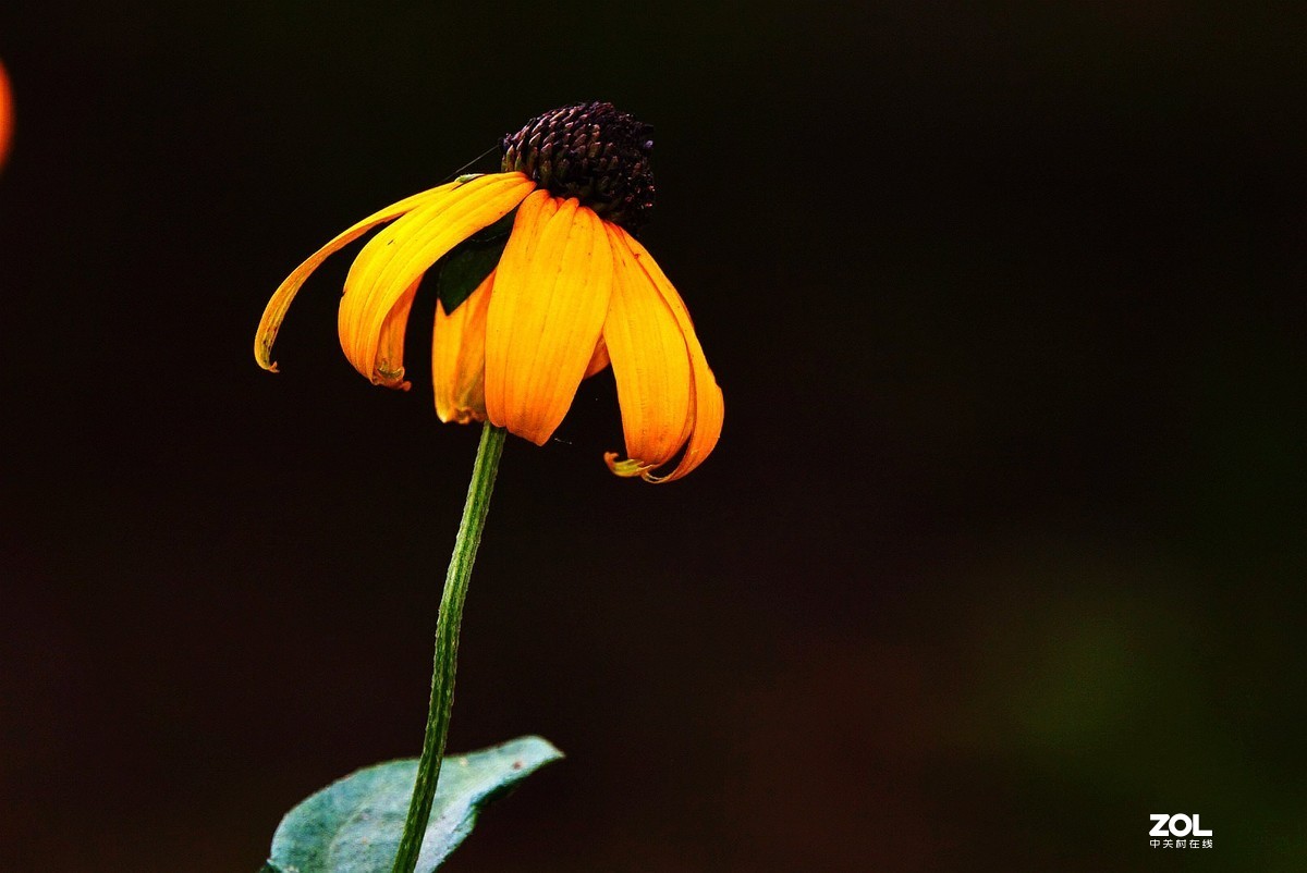 旅游--扬州瘦西湖《9》