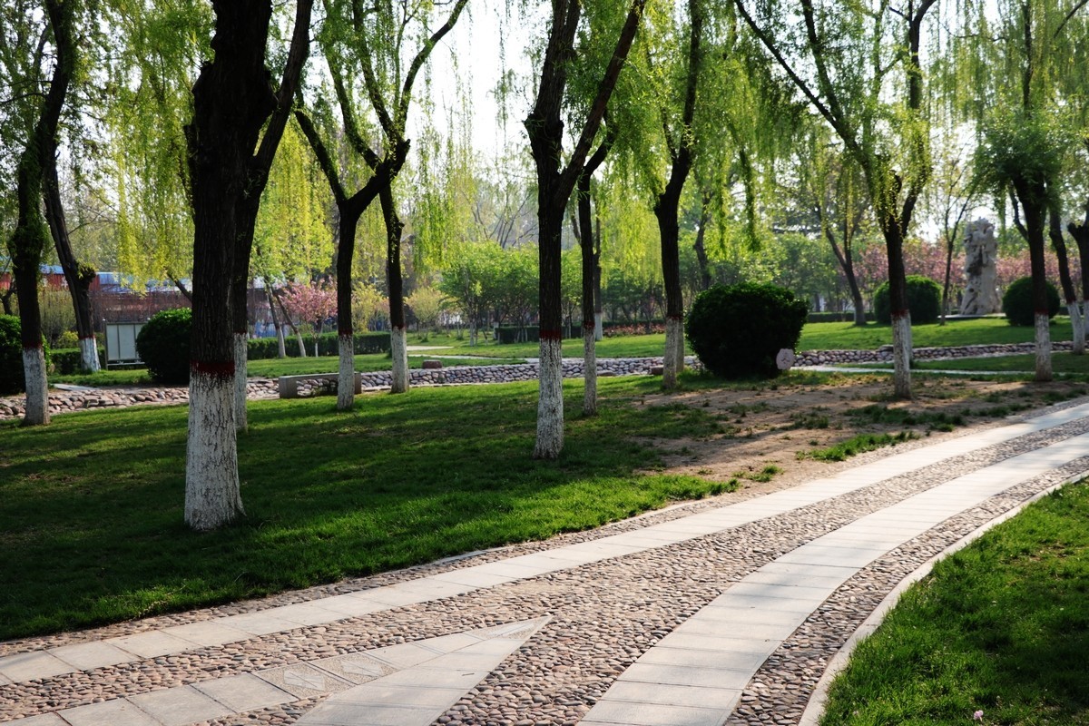 春和景明----再拍梅花公园（10P)