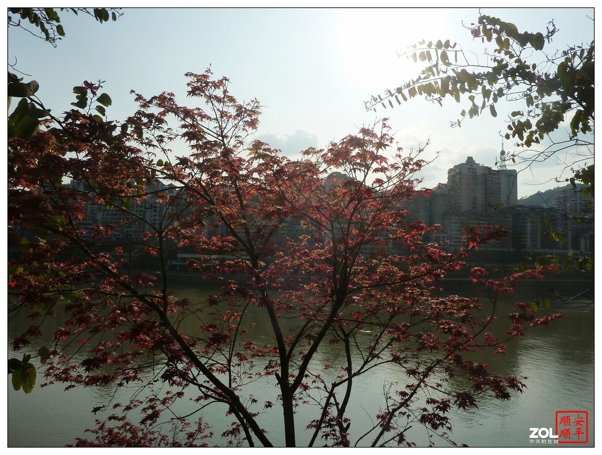 家乡的风景------福建南平建溪水岸风景（下）