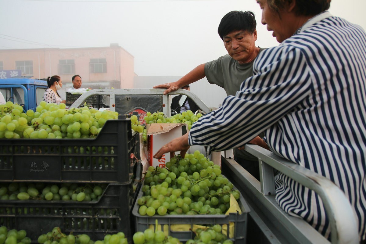 瓜菜交易市场纪实