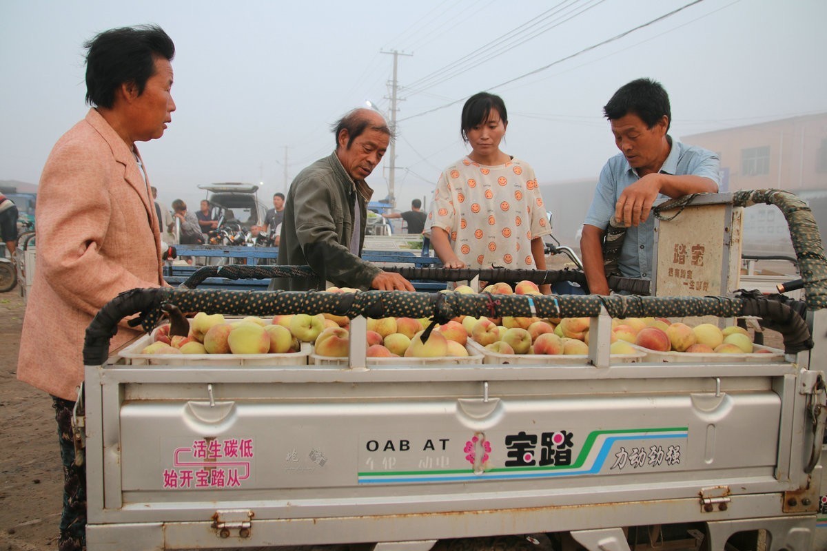 瓜菜交易市场纪实